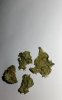 IMG_6327.jpeg