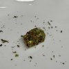 IMG_6337.jpeg