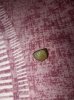 IMG_6342.jpeg
