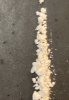 IMG_6351.jpeg