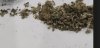IMG_6453.jpeg
