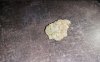 IMG_6456.jpeg
