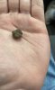 IMG_6661.jpeg