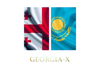 Форум Georgia-X.com — все из жизни RC в СНГ